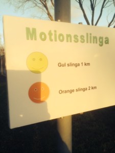 Motionsslingor