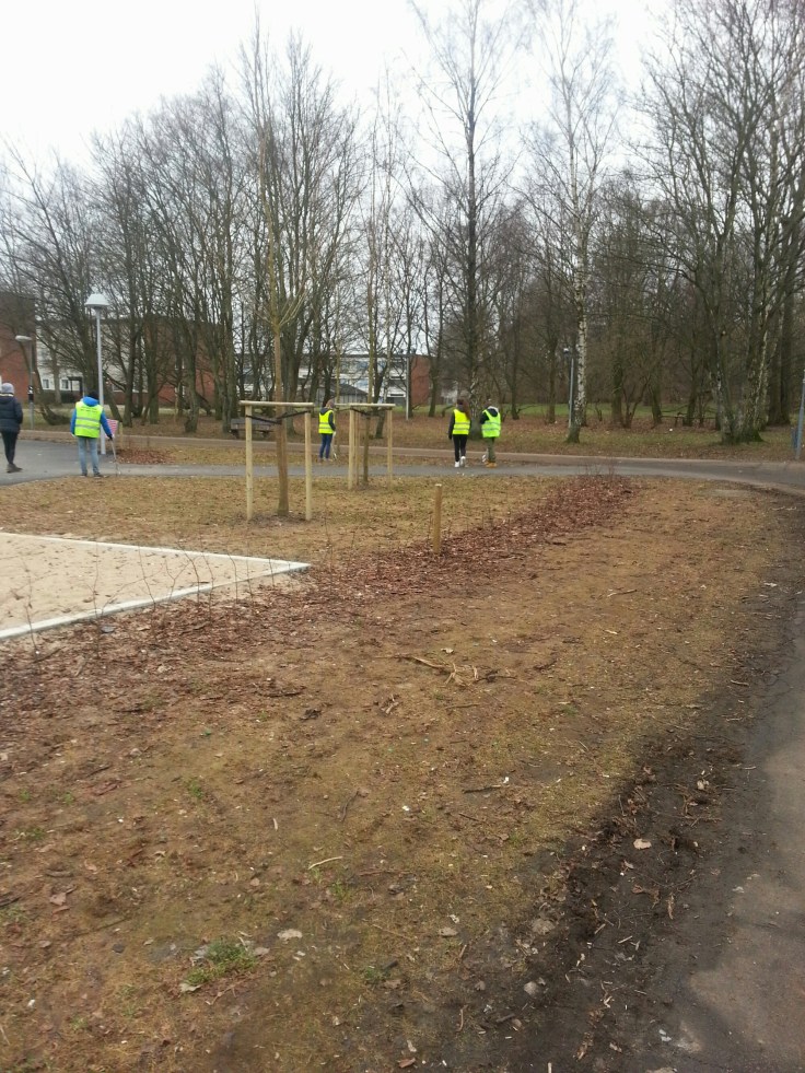 wp-1424376800584 image