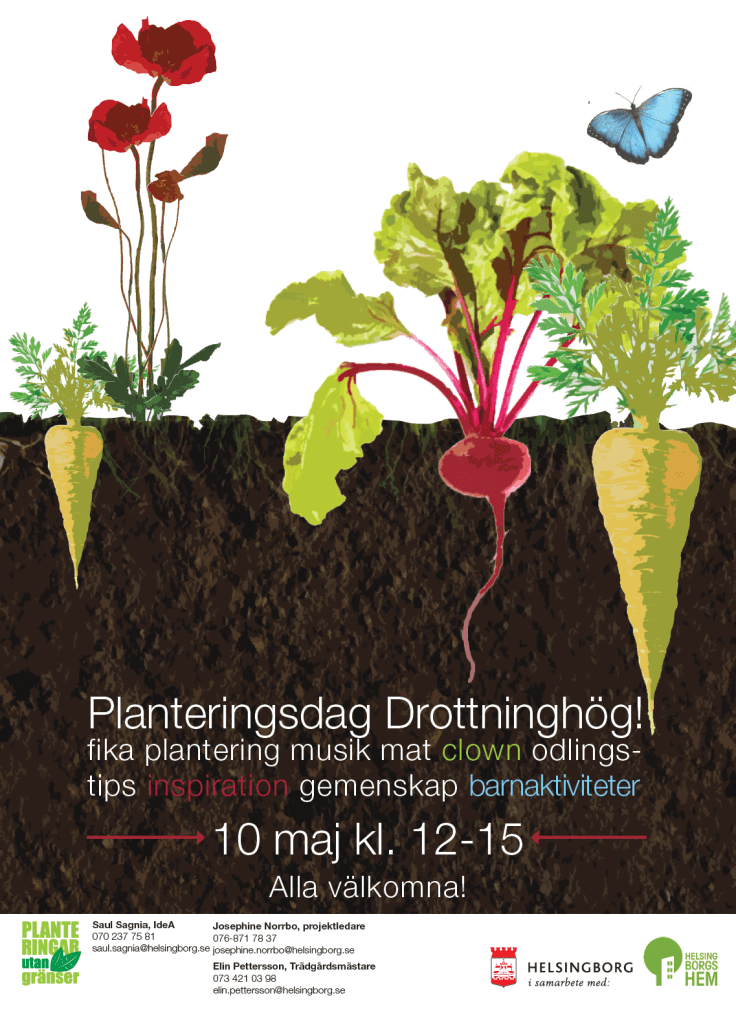 plantering_bild