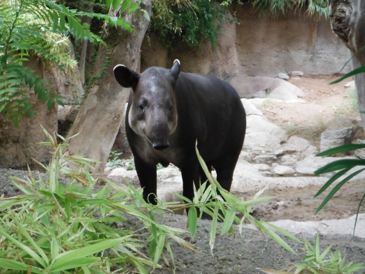 7826425088_327639a07d_k